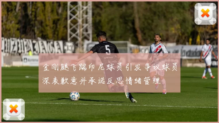 金刚腿飞踹印尼球员引发争议球员深表歉意并承诺反思情绪管理